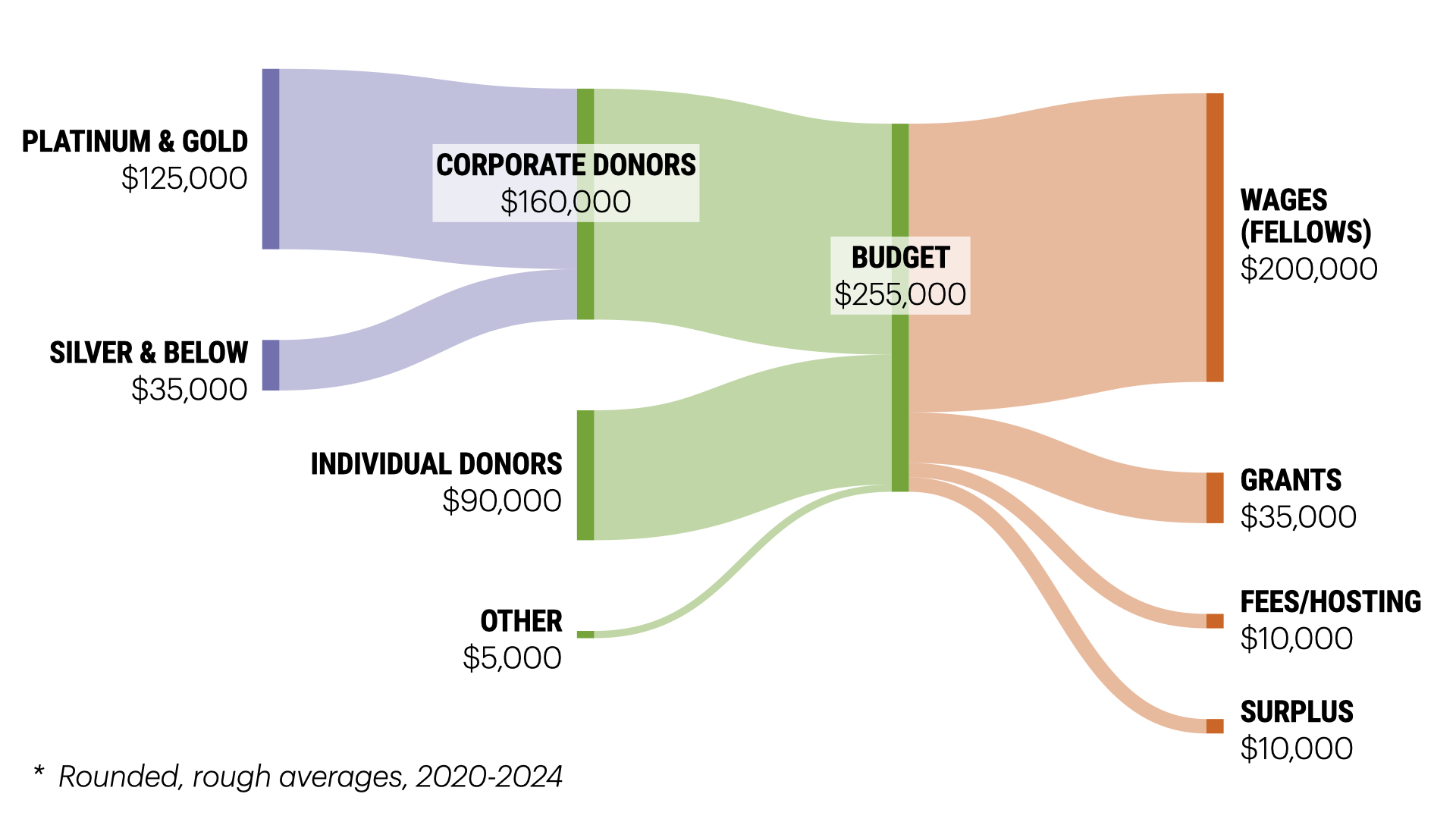 A Sankey diagram visualizing the DSF&#39;s cash flow. Income on the left totaling $255,000, which comes from: Platinum and Gold sponsors - $125,000; Silver and below - #35,000; individual donors - $90,0000; and $5,000 from other. Spending on the right: wages (fellows) - $200,000; grants - $35,000; fees $10,000; and surplus: $10,000